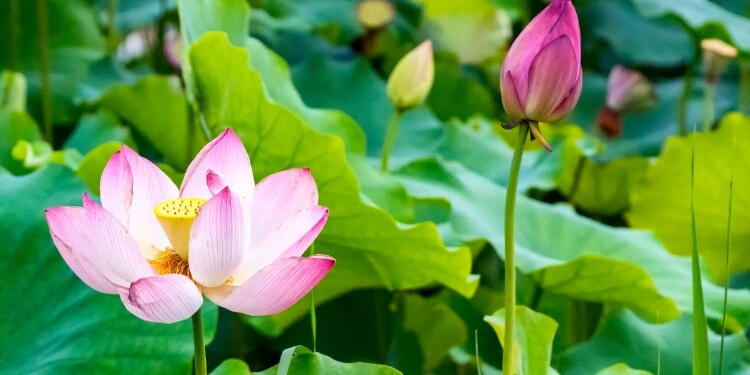 下一节气