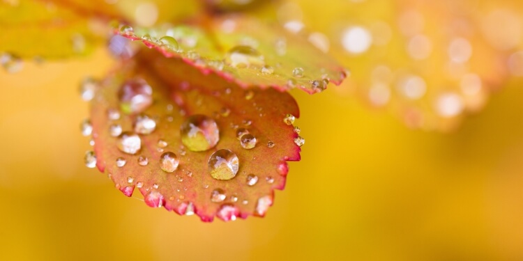 上一节气